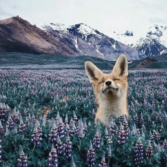 Ксю Лісовенко, 20.06.1990, Киев