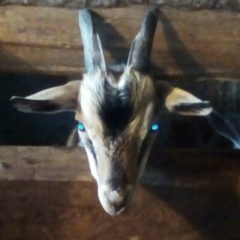 Александр Круглов, 08.02, Тосно