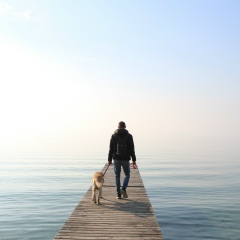 Radu Greenhead, 21.06.1991, Кишинев