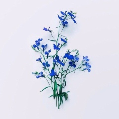 Асемгуль Жусупова, 01.12.1995, Москва