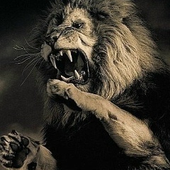 Артем Михасько, 05.01.1983, Киев