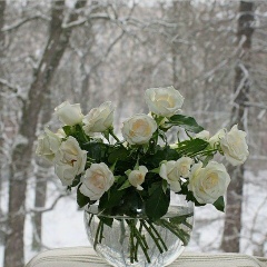 Ханифа Улжабаева