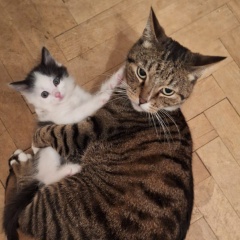 Наталия Новоселова, 14.12.1974, Санкт-Петербург