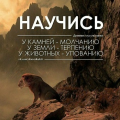 Damir Zhumakov, 05.07, Алматы