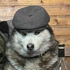 Виктор Лисин, 29.08, Сланцы