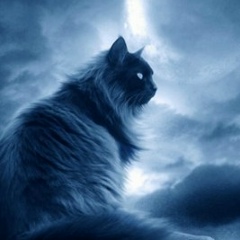 Олексій Кас'янчук, Яремче