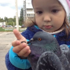 Алексей Халтаев, 12.03, Вологда