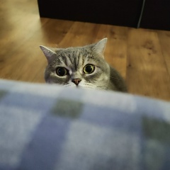 Андрей Тихомиров, 20.11.1985, Владимир