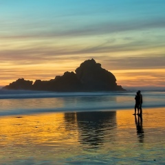 Мира Арипова, Wevelgem