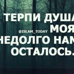 Милана Алиева, 18.01.1997, Грозный