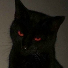 Руслан Медведь