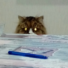 Николай Бобров, 14.12.1978, Шолга