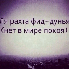 Биболт Тимаев