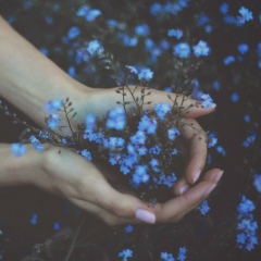 Анастасія Асауленко, Черкассы