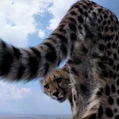 Garri Grigoryan, 17.04, Москва