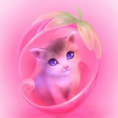 Саламат Жумалиева, 25.02, Москва