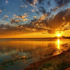 Ландыш Душистый, 01.06.1902