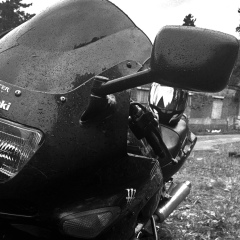 Евгений Гусев, 11.01.1987, Санкт-Петербург