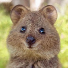 Марина Сухарева, Москва