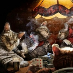 Виталий Алешин, 25.05.1981, Санкт-Петербург