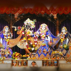 Никита Кузьмин, 17.11.1986, Сочи