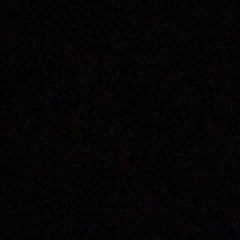 Никита Мелихов, Калининград