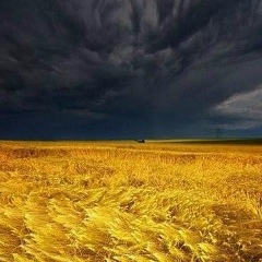 Сергей Бойко, Песчанка