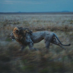 Башир Абдулаев, 23.11.1982, Москва