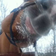 Оксана Кузнецова, 15.03.1973, Санкт-Петербург