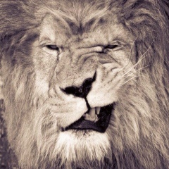 Предлагаю Так, 07.04, Алматы