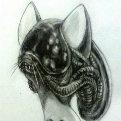 Алёна Ларина, 18.11, Донецк