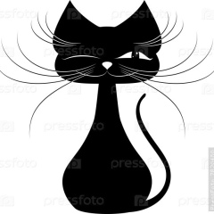 Виктория Остапенко, Сортавала