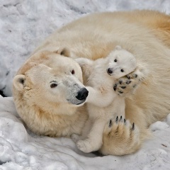 Руслан Михайлов, 25.04.1990, Калининград