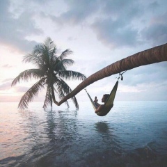 Nikta Freedland, 12.06