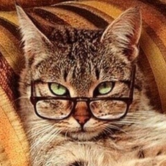 Владимир Владимирович, 19.01, Санкт-Петербург