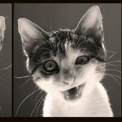 Сымбат Қайркеш, 26.10.1992, Талдыкорган