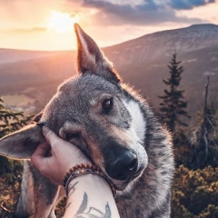 Лео Михай, 02.02