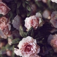 Людмила Адкина, 12.09, Москва