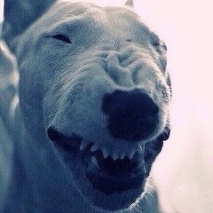 Олег Сергеевич, Калининград