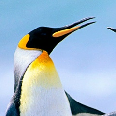 Рома Иванов, 23.08.1983, Москва