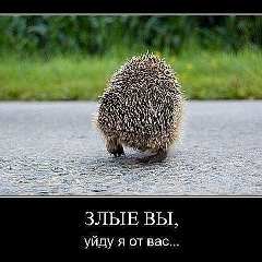 Алексей Овдин, 30.11, Шексна (пгт)