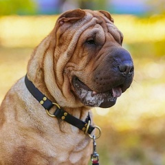 Ирина Юшкевич, 27.06.1986, Минск