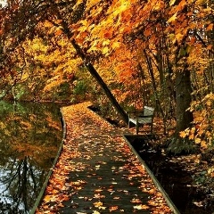 Alena Donika, 25.10.1983, Одесса