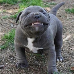 Игорь Жогаль, 18.02.1986, Брест