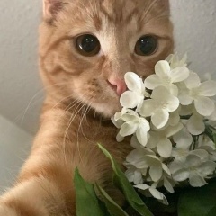 Заира Нахушева, 20.04.1999