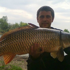 Віктор Задачін, 12.04.1984, Брацлав