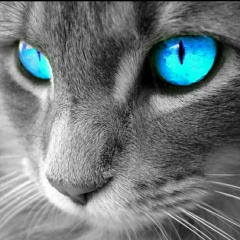 Андрей Ижевский, 01.11, Ижевск