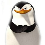 Ирина Крупенникова, Ростов-на-Дону