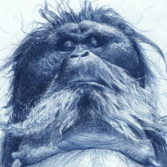 Theodor Voland, Ейск