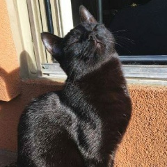 Иринка Байда-Сулейманова, 03.05.1988, Киев